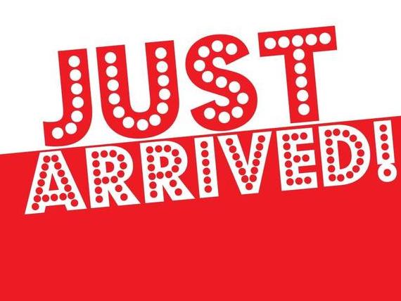 VOLKSWAGEN TIGUAN 4MOTION 2023 3VV4B7AX5PM015943 image VOLKSWAGEN TIGUAN 4MOTION 2023 3VV4B7AX5PM015943 image